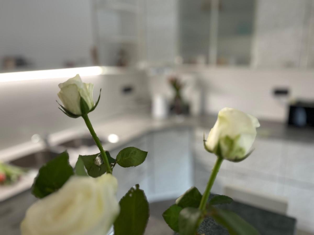 Apartma Ksela Mala Nedelja Экстерьер фото